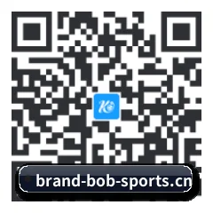 iPhone 专版 二维码